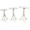 Silver Metal Side End Accent Table with Textured Tree Branch Legs Set